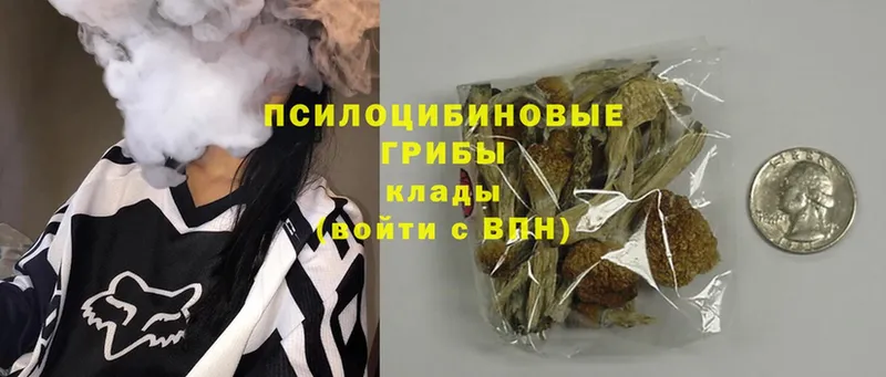 дарк нет формула  blacksprut сайт  Большой Камень  Псилоцибиновые грибы MAGIC MUSHROOMS 